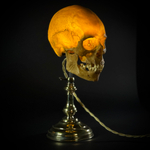 Ночник «Череп человека»