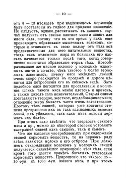 Колбасное производство | Мороховцев К.К.