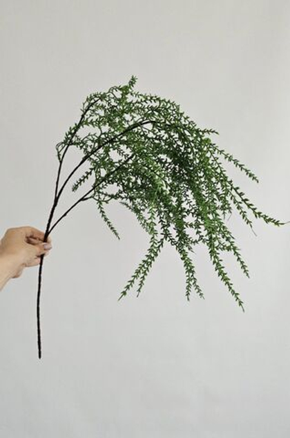 Плаун светлый / Арт 4252