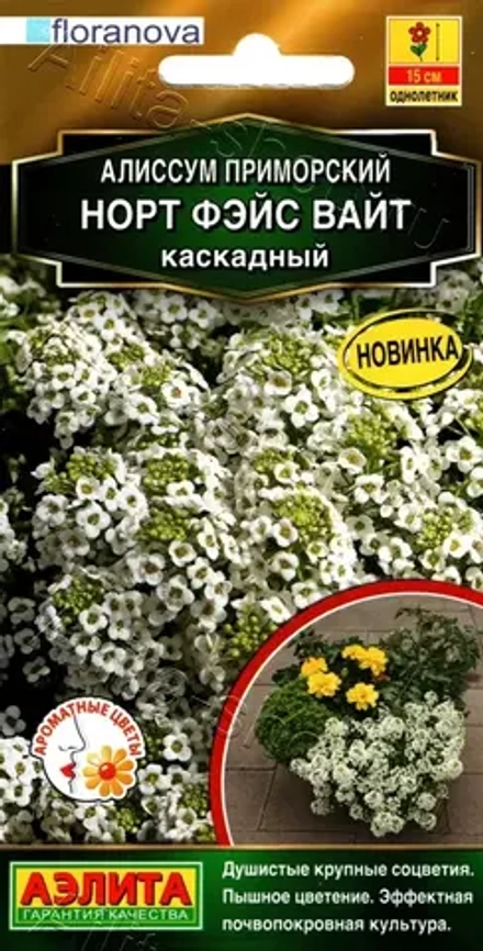 Алиссум Норт фэйс вайт каскадный