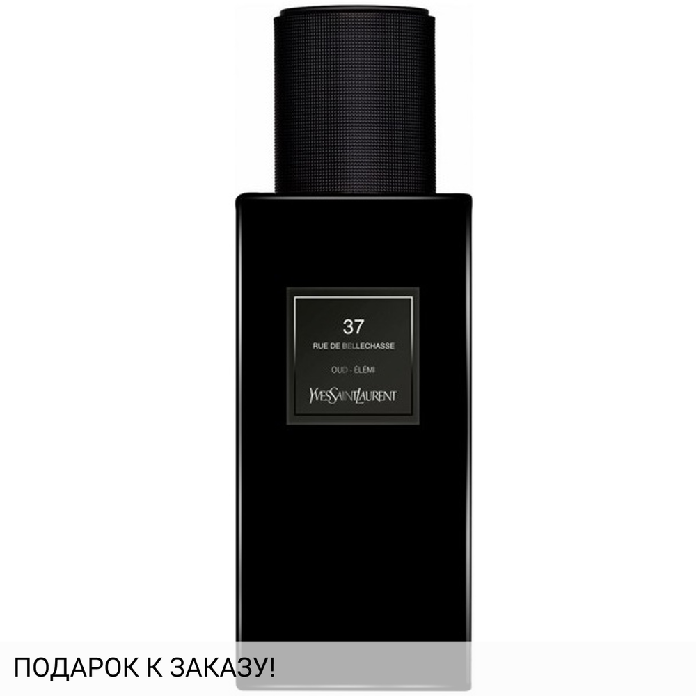 Yves Saint Laurent 37 rue de Bellechasse