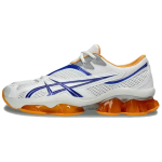 Kiko Kostadinov X ASICS Gel Quantum Zientzia Knicks
