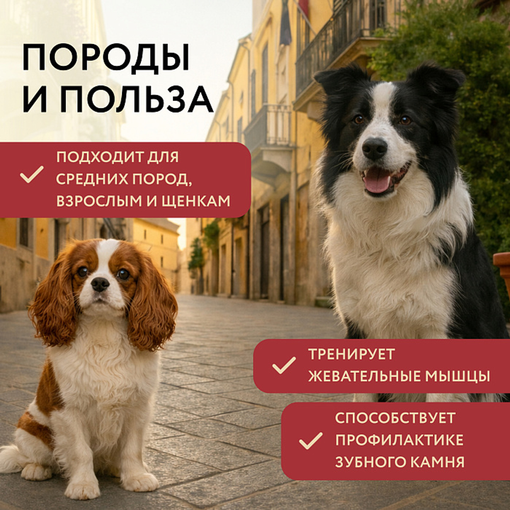 Лакомство для собак Мнямс Деликатес Пармская косточка размер L 45 г, 15 шт