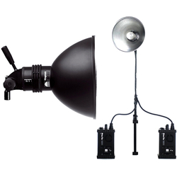 Profoto ProTwin UV 500W генераторная голова 900719
