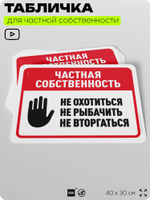 Табличка для частной территории "Частная собственность", на дом, для участка, организаций, предупреждающая, 40х30 см, Silver Plane x Айдентика Технолоджи