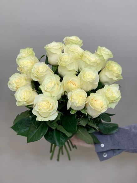 Букет 19 белых роз Эквадор 50см в ленте