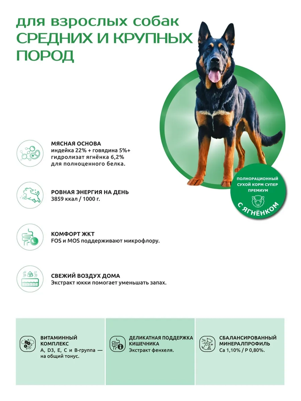 Корм для собак средних и крупных пород, с ягненком, 2.5 кг