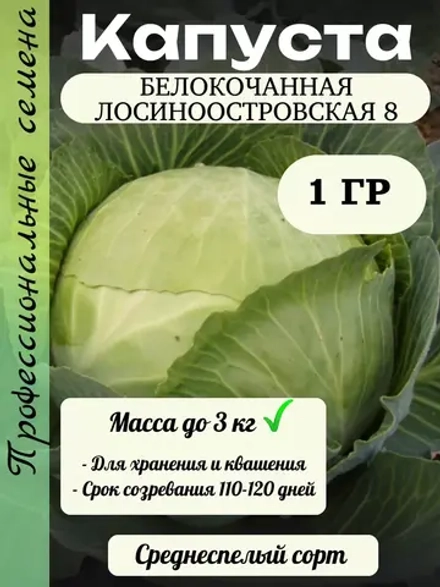 Семена капуста белокочанная Лосиноостровская 8 1 гр