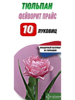 Тюльпан Луковица, Фейворит Прайс, 10шт
