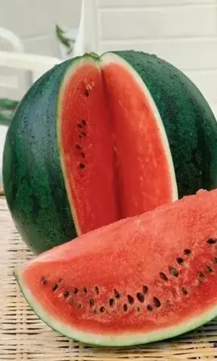 Арбуз Русский деликатес 5шт УрДачник