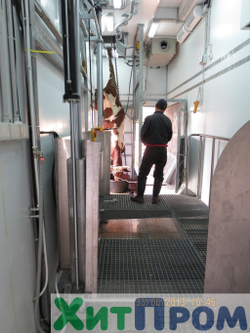 Линия убоя КРС 20 голов/смена. Ленинградская область