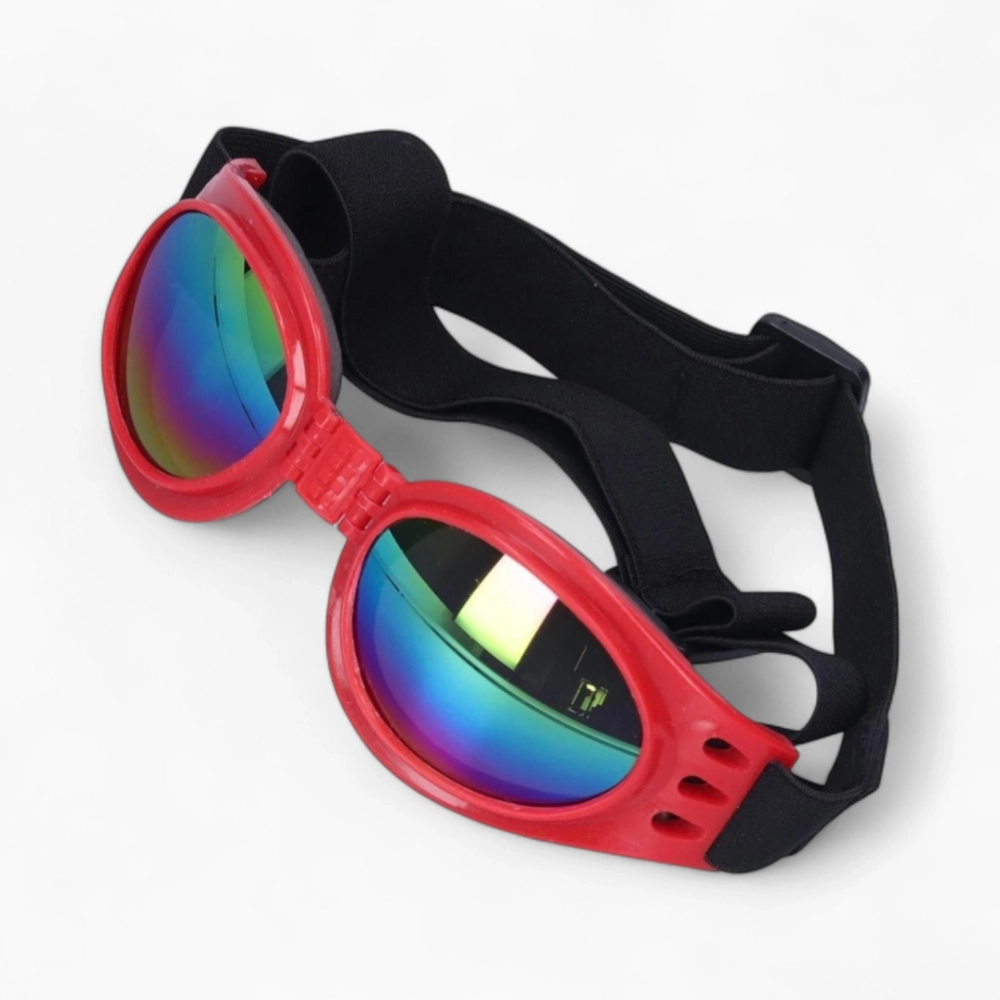 Очки «Cool Rider»