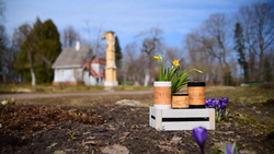 Малая фарфоровая пиала или миска для завтрака с берестой. Коллекция Чеховская или Мелиховская