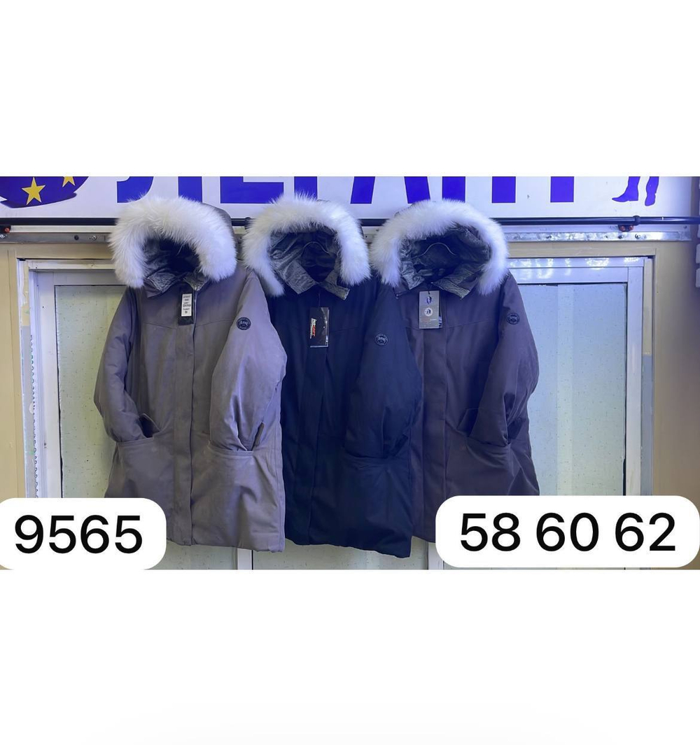Зимняя парка