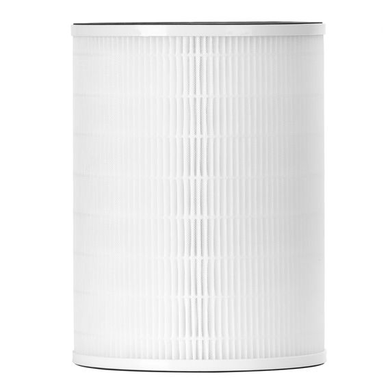 Комплект фильтров FAP-1016 для воздухоочистителя Electrolux EAP-1016 купить в Москве и Московской области по низкой цене с доставкой по России — (1) Комплект фильтров FAP-1016 для воздухоочистителя Electrolux EAP-1016 — (1)