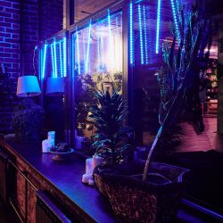 ULD-E2405-240-DTK BLUE IP44 METEOR Занавес светодиодный фигурный Падающие звезды. соединяемый. 2х0.5м. 8 подвесов. Синий свет. Провод прозрачный. TM Uniel.