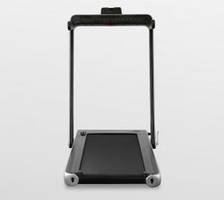 Беговая дорожка APPLEGATE T5 Panel