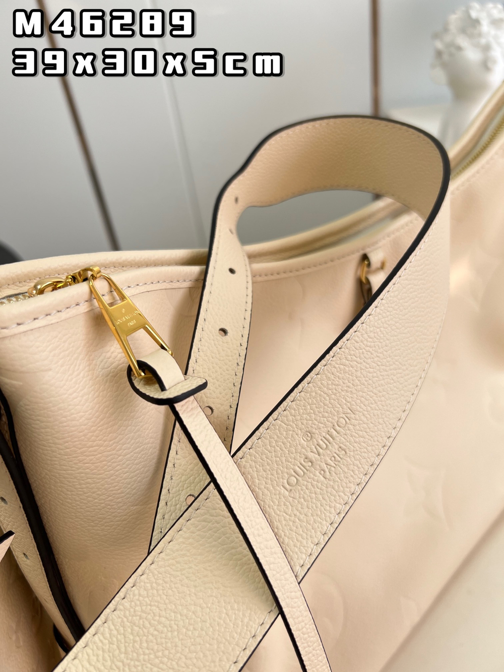 Louis Vuitton CarryAll MM