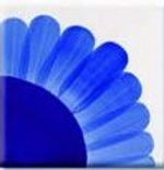 HCT-434 ROYAL BLUE/КОРОЛЕВСКИЙ СИНИЙ