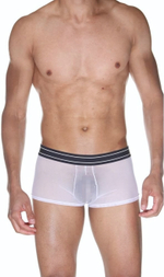Мужские полупрозрачные трусы-боксеры (Размер: L-XL) (Цвет: белый с черным)