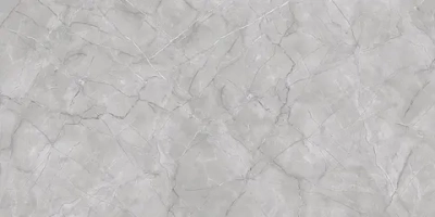 Керамогранит Primavera Vanity Grey Carving 60x120 см (CR231)