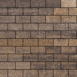 Тротуарная плитка ПРЯМОУГОЛЬНИК 200x100 мм - Искусственный камень Доломит