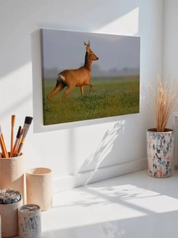 Картина на стену 40 X 50 Косуля