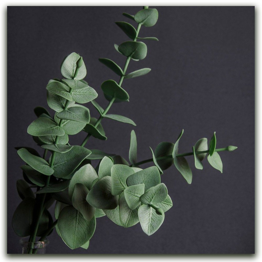 эвкалипт из холодного фарфора