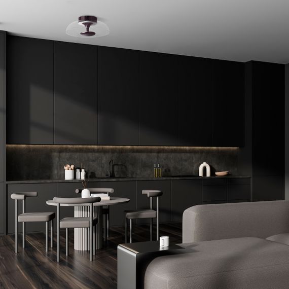 Потолочный светодиодный светильник Lightstar Celesta 809200