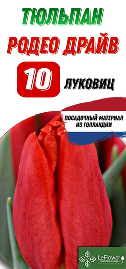 Тюльпан Луковица, Родео Драйв, 10шт