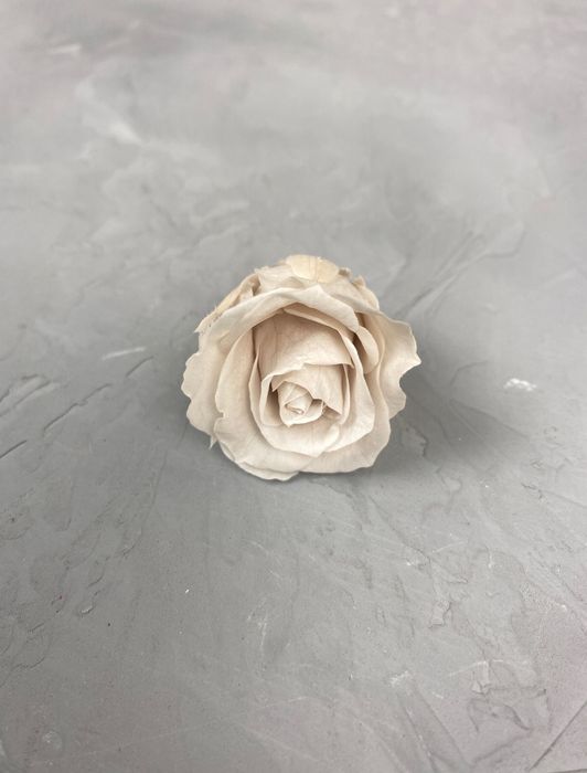 Роза классическая мокко d=2-3 см
