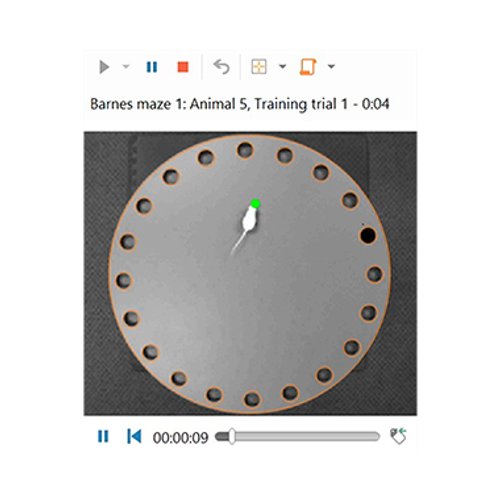 ANY-maze Усовершенствованное видеонаблюдение