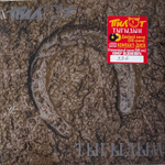 Пилот ‎– Тыгыдым 2LP+CD (Россия 2022г.)