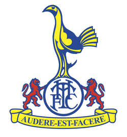 Тотенхэм (футболка) - Легендарные джерси