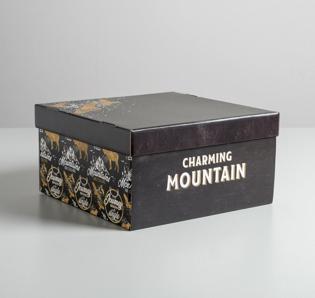 Коробка складная «Брутальность», 28 х 28 х 15 см