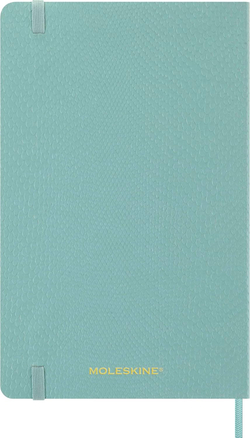 Еженедельник Moleskine PRECIOUS & ETHICAL MAMBA Large 130х210мм обложка экокожа 144стр бирюзовый (DSPRETK812WN3)