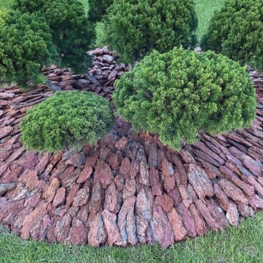 Кора сибирской лиственницы фракция 10+ Закупка М68 апрель 2026