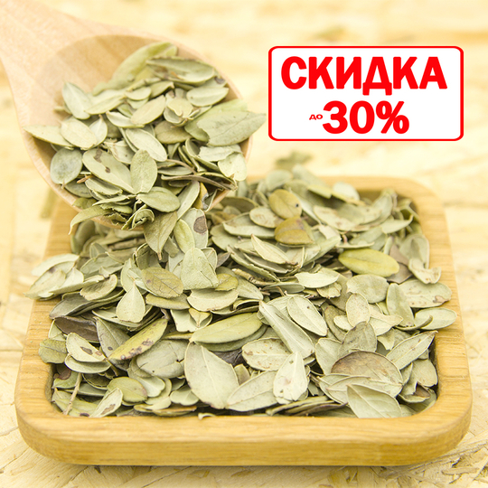 Брусника (лист)