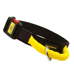 Ошейник  нейлоновый с ручкой и  быстросъемной пряжкой Fordogtrainers