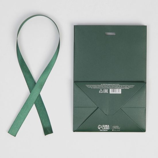 Пакет подарочный с лентой «Изумрудный», 13 × 19 × 9 см 7303870
