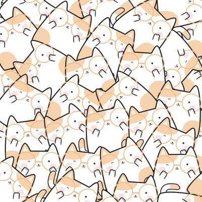 котики