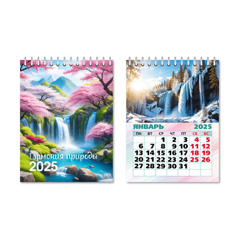 Календарь домик - вертикальный 2025"Гармония природы» 10*14 см