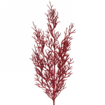 Ветка хвойная «Хрусталик» 75 см, Красный