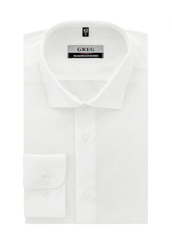 Сорочка GREG (Германия) 510/199/ALT/ZV_V "База"