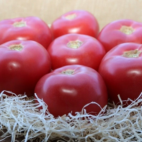 Мей Шуай F1 семена томата индетерминантного (Seminis / ALEXAGRO) культура – фото 3