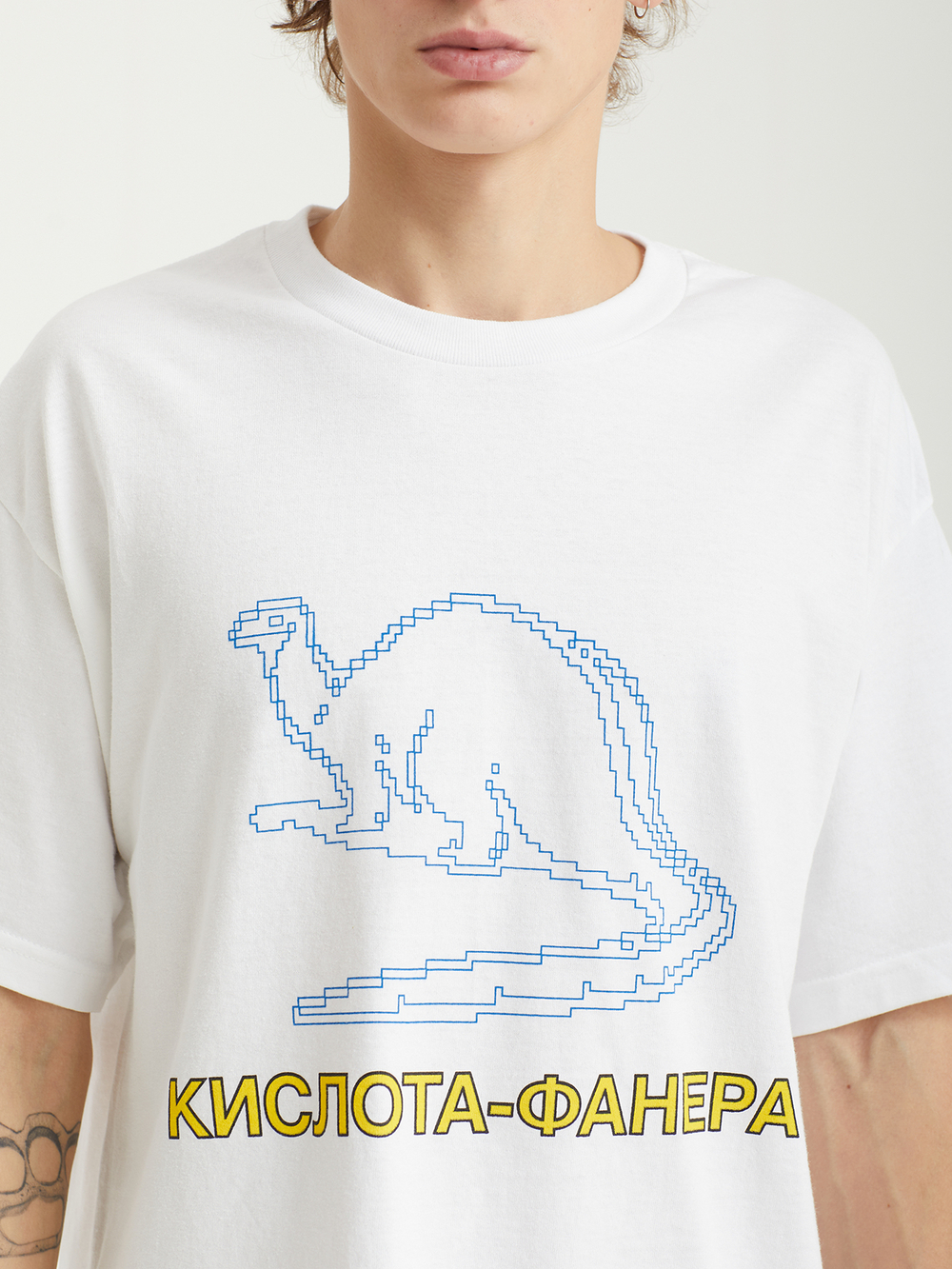 Мужская Футболка Dinosaur