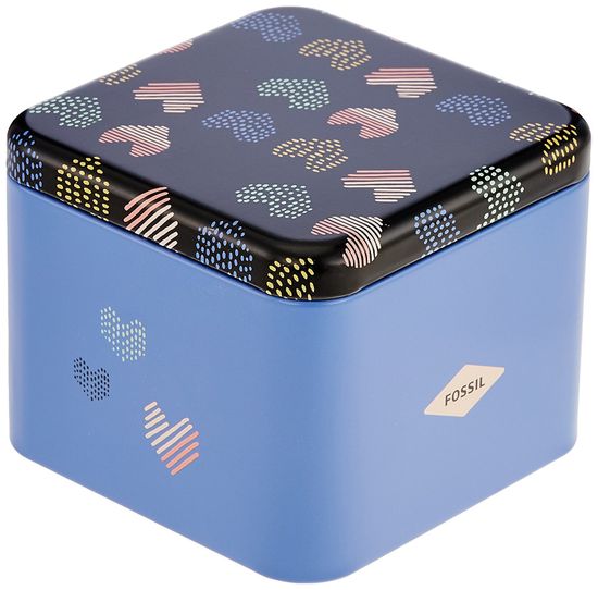 Наручные часы Fossil FS5266