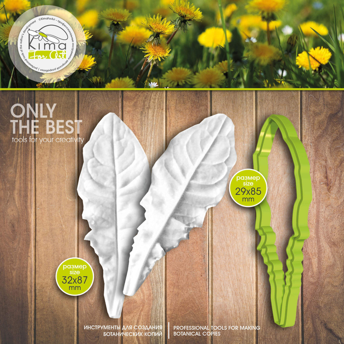 Одуванчик лист маленький