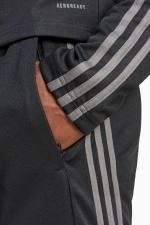 Штаны adidas Squadra 25 Training - черный