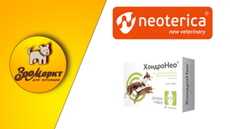 Акция препарат ХондроНео